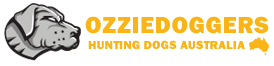 OzzieDoggers